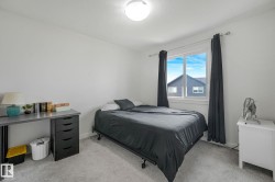 Bright room featuring a single window with dark curtains, light carpeting, and white walls - 