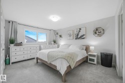 Bright room featuring light gray walls and plush gray carpeting - 