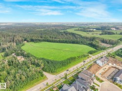 Expansive green space bordered by mature trees and paved roads - 