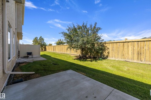 Expansive grassy backyard featuring a mature tree, concrete patio, and full perimeter fencing - 101 13825 155 Avenue, Edmonton, AB 