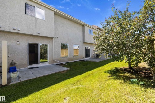 Expansive grassy backyard featuring a mature tree, two concrete patios, and stucco exterior walls - 101 13825 155 Avenue, Edmonton, AB 