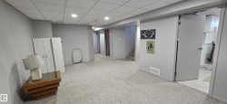Expansive carpeted area featuring recessed lighting, a drop ceiling, and light gray painted walls - 