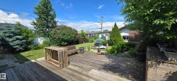 Spacious backyard featuring a large wood-finish deck, expansive lawn, mature trees, flowering shrubs, and established landscaping - 