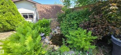 Landscaped garden featuring a rock-lined pond, various mature ferns, and dense shrubbery - 