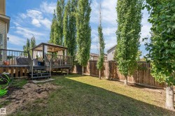 Expansive backyard featuring a multi-level wooden deck with a gazebo, mature trees lining the perimeter, and a fenced yard - 