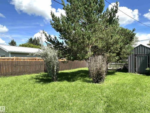 Expansive green lawn with mature trees, a privacy fence, and a storage shed - 825 2 Street, Thorhild, AB 