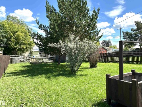 Grassed yard area featuring mature trees and shrubbery - 825 2 Street, Thorhild, AB 