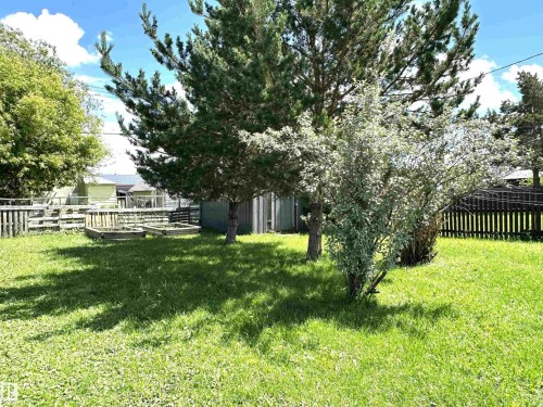 Grassed yard area featuring mature trees and shrubbery - 825 2 Street, Thorhild, AB 