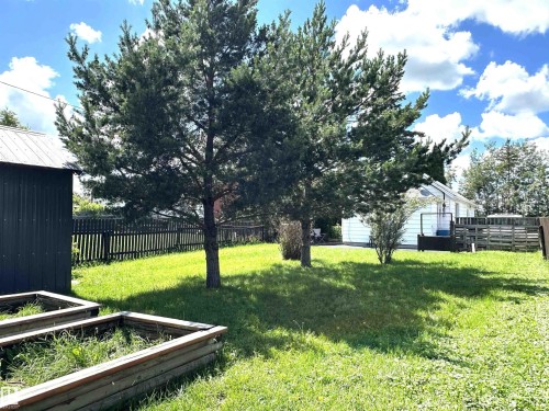 Expansive green space featuring two mature pine trees, a black picket fence, and a dark corrugated metal shed with a pitched roof - 825 2 Street, Thorhild, AB 