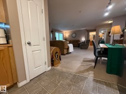 Entryway featuring tile flooring transitioning to carpeted living areas, wood-finish cabinetry, and interior paneled doors - 