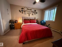 Spacious bedroom with neutral wall tones and carpeted flooring - 