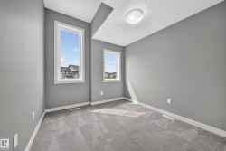 Neutral gray walls with white trim, two windows, and gray carpet flooring - 