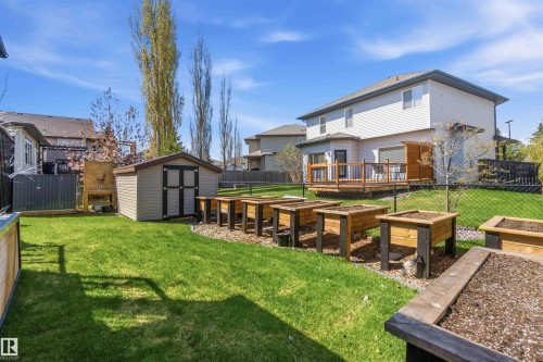 Manicured backyard featuring a storage shed, multiple raised garden beds, a chain-link fence, and a wooden deck - 61 Linkside Blvd, Spruce Grove, AB 