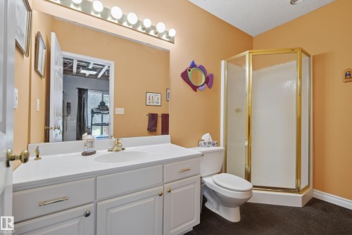 walkout level - 17 High Ridge Crescent, Sherwood Park, AB 