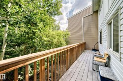 Outdoor deck featuring wood-finish railing and flooring, bordered by lush green trees - 
