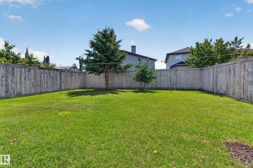 Expansive green lawn surrounded by a wooden privacy fence - 547 Leger Way, Edmonton, AB 