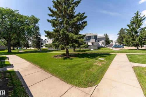 Expansive grassy areas with mature evergreen and deciduous trees - 16B Callingwood Court, Edmonton, AB 
