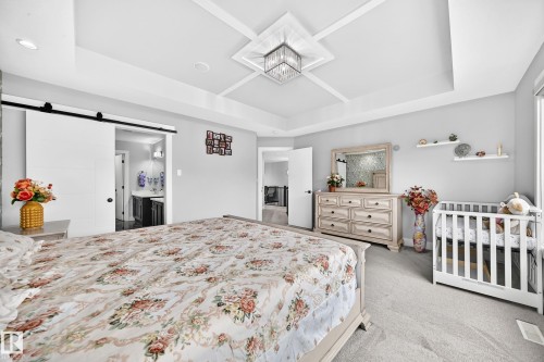Tray ceiling with decorative trim and central fixture, light gray walls, and carpet flooring - 8710 Mayday Lane, Edmonton, AB 
