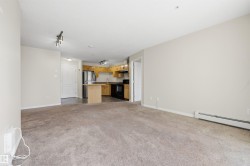 Open concept living area featuring a neutral carpet and light-toned walls - 