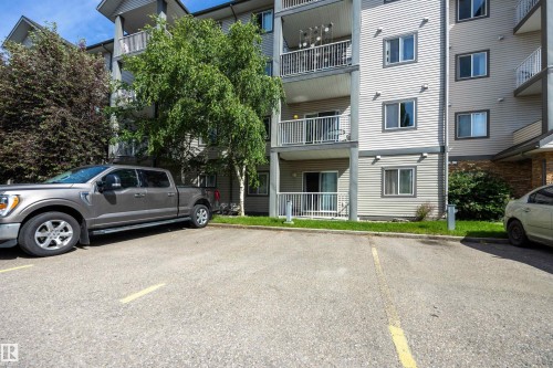 2 out of 2 paved parking marked stalls with electricity is bordered by mature trees. - 201 3425 19 Street Nw, Edmonton, AB 