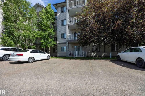 1 out of 2 paved parking marked stalls with electricity is bordered by mature trees. - 201 3425 19 Street Nw, Edmonton, AB 