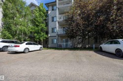 1 out of 2 paved parking marked stalls with electricity is bordered by mature trees. - 