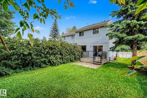 Expansive green lawn with a privacy hedge - 19 Pineview Drive, St. Albert, AB 
