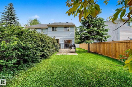 Expansive backyard featuring a lush lawn, mature evergreen trees, and a privacy fence - 19 Pineview Drive, St. Albert, AB 
