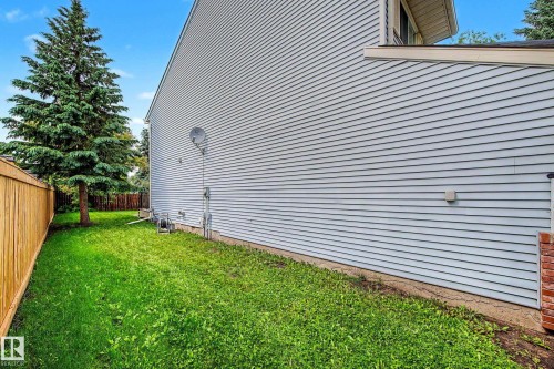 Side yard featuring a mature evergreen tree and a wood privacy fence - 19 Pineview Drive, St. Albert, AB 