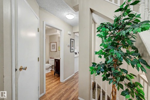 Hallway with wood-finish flooring, white panel doors, and a ceiling-mounted light fixture - 19 Pineview Drive, St. Albert, AB 