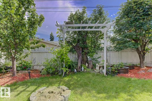 Lush backyard featuring a white pergola, mature trees, manicured lawn, red bark mulch landscaping, and a privacy fence - 15707 92 Avenue, Edmonton, AB 