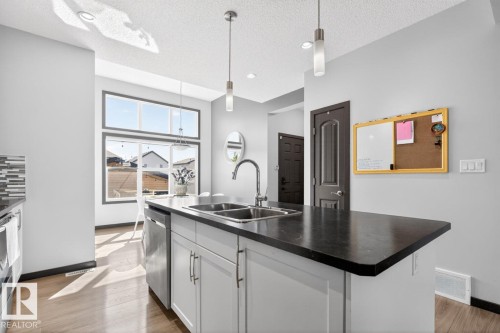 17575 59 Street, Edmonton, AB - Indoor Photo Showing Kitchen With Double Sink