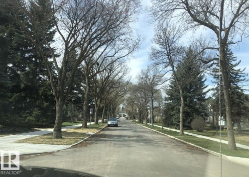 Tree-lined streetscape featuring mature deciduous and evergreen trees, concrete sidewalks, and grassy boulevards - 216 11503 76 Avenue, Edmonton, AB 