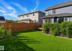 Expansive green lawn framed by a wooden privacy fence - 