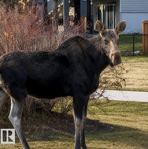 Image quality insufficient for description - 12737 205 Street Nw, Edmonton, AB 