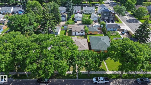 Aerial perspective showcasing a residential street lined with mature shade trees, a sidewalk, and multiple properties with varied architectural styles - 9545 65 Avenue, Edmonton, AB 