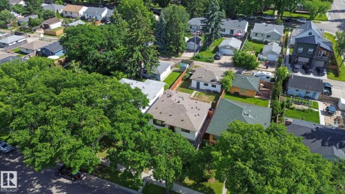 Aerial perspective showcasing a residential street with mature trees and a variety of architectural styles - 9545 65 Avenue, Edmonton, AB 