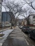 105 11109 84 Avenue, Edmonton, AB 