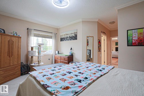 Bedroom featuring crown molding, a ceiling light fixture, and a window with blinds and sheer curtains - 13 7293 South Terwillegar Drive, Edmonton, AB 