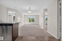 Open-concept living area featuring neutral carpeting, a large window, a ceiling-mounted light fixture, and pale wall tones - 