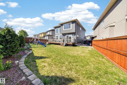 Expansive backyard featuring a manicured lawn, a multi-level deck with white railings, a wooden privacy fence, and mature evergreen shrubs - 1927 18 Street, Edmonton, AB 