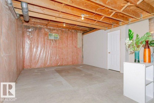 19016 92 Avenue, Edmonton, AB - Indoor Photo Showing Basement