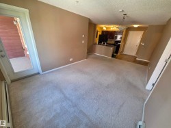 Spacious carpeted living area featuring a full-light patio door, baseboard heating, and an open-concept kitchen with dark wood cabinetry and black appliances - 