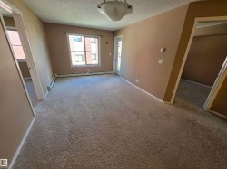 Spacious room featuring neutral carpeting, light beige walls, and white trim - 