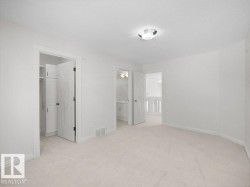 Light-toned wall-to-wall carpeting and neutral wall finishes - 