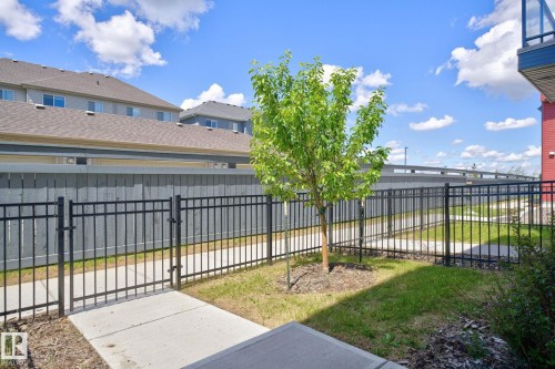Manicured lawn with a young deciduous tree and a durable black metal fence - 33 11910 35 Avenue, Edmonton, AB 