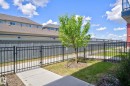 Manicured lawn with a young deciduous tree and a durable black metal fence - 33 11910 35 Avenue, Edmonton, AB 