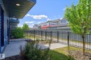 Paved patio area featuring a black metal fence, mature tree, and planted shrubs - 33 11910 35 Avenue, Edmonton, AB 