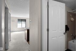 Interior hallway with light-colored walls and carpeted flooring - 