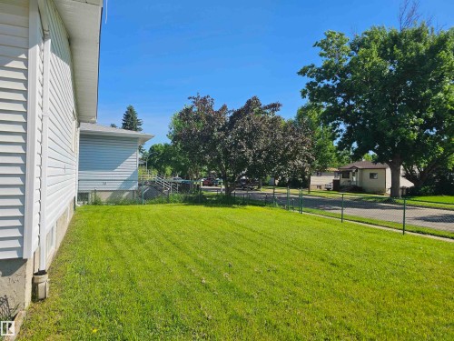 Side yard featuring green lawn, chain-link fencing, mature shade trees, and white vinyl siding - 4304 121 Avenue Nw, Edmonton, AB - Outdoor